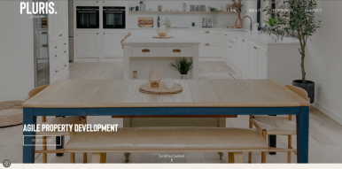 PLURIS DEVELOPMENTS
